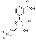 Nicotinic acid mononucleotide  Structure